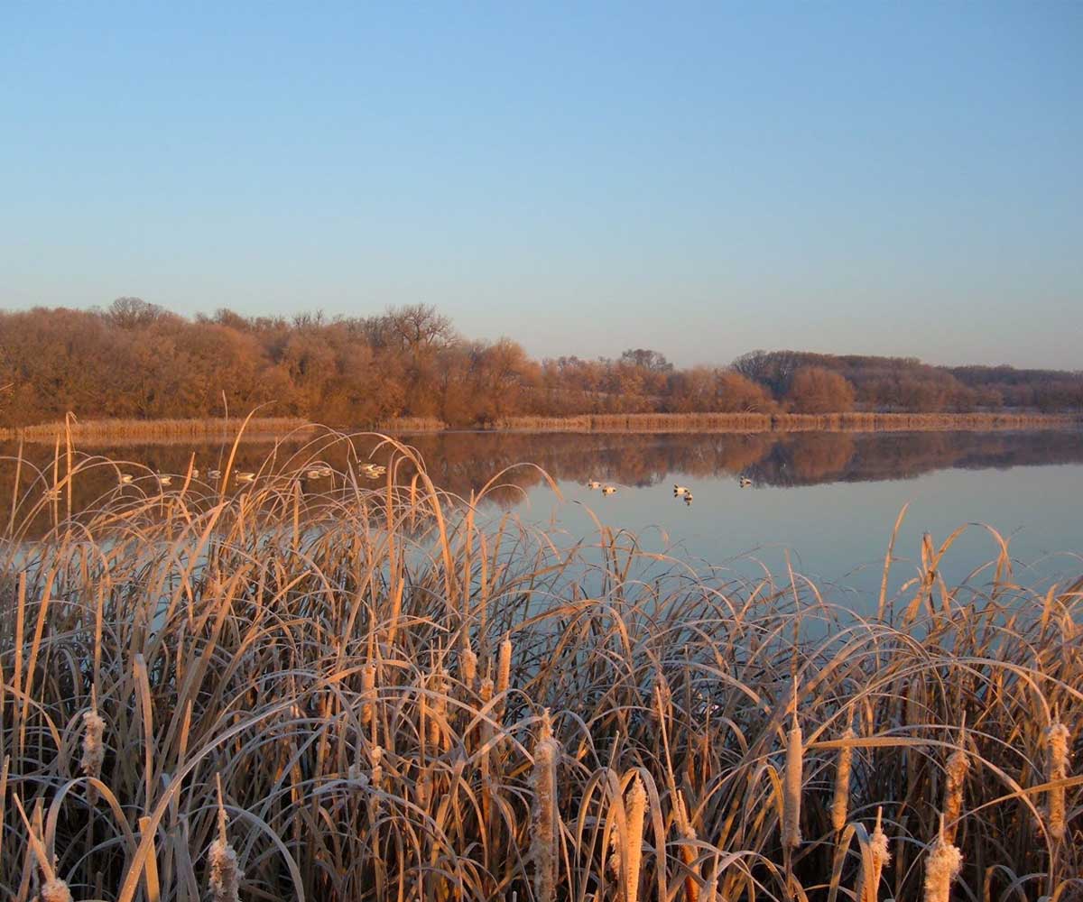 Arkansas Duck Lease 2010 Duck Hunting Season BMW Hunting